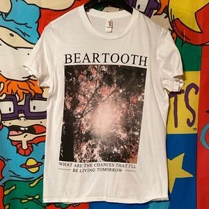 Beartooth t shirt